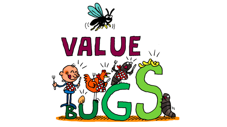 Projet Value Bugs